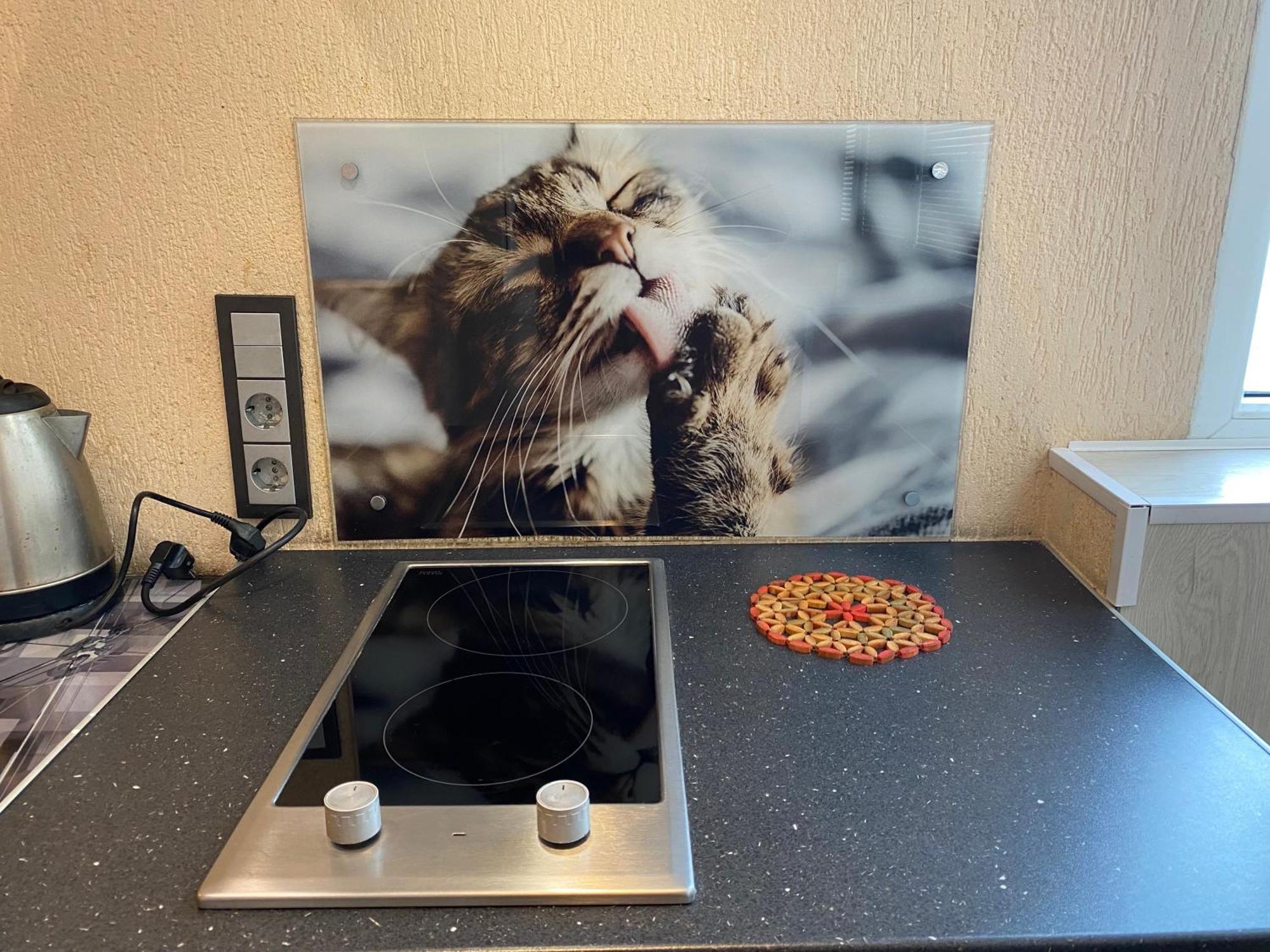 Cat Garden Superior Apartments รีกา ภายนอก รูปภาพ